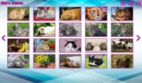 Große Puzzle mit Katzen Screen Shot 1