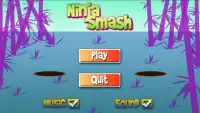 Ninja Smash Fight Screen Shot 0