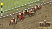 Triple Throne Horse Racing Screen Shot 4