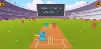 Bat Ball Cricket Screen Shot 3