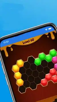 Hexa Block Puzzle Game. Block Hexagon Puzzle Screen Shot 0