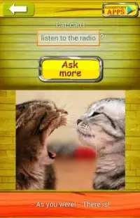 Zapytaj Cat 2 Tłumacz Screen Shot 3