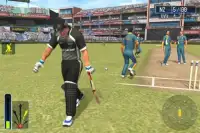 Cricket WorldCup Fever Screen Shot 3