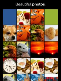 CAR & ANIMAL MEMORY FREE: COLORFUL GAME FOR ADULTS Screen Shot 7