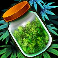 Hempire - Cultivo de Cannabis