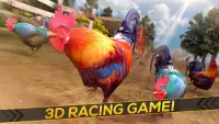 Wild Rooster Run - Frenzy Chicken Farm Race Screen Shot 3