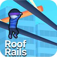 Roof Rails : Full Advice
