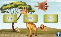 Zoo Jogos de memória criança Screen Shot 0