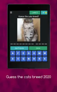 Cat Quiz - Guess The Cat Breed 2020 Screen Shot 9