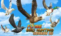 vôo Pássaro Época de caça 3D Screen Shot 1