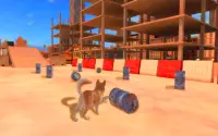 Akita Dog Simulator Screen Shot 17