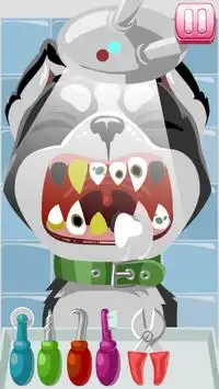 Pet Dentist Screen Shot 0