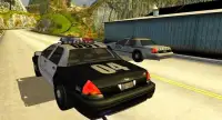 Turbo Police Car Driving 3D Screen Shot 0