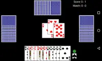 Satat Card Game Screen Shot 0