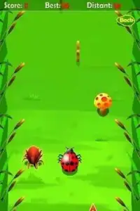 Amazing Beetle Game Screen Shot 4