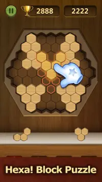 Wood Block Puzzle 2021 - Wooden 3D Cube Puzzle Gem Screen Shot 1