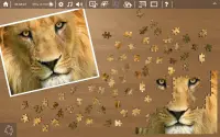 Ravensburger Puzzle Screen Shot 6