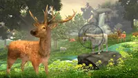 Animal Hunting: Jungle Hunter Sniper Shooting Screen Shot 3