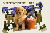 Cats & Dogs Jigsaw Puzzles Screen Shot 1