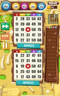 Bingo Bonus Frenzy - Offline Bingo Screen Shot 10