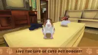 Guinea Pig Simulator: House Pet Survival Screen Shot 0