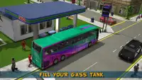 Rurista Autobus Simulatore 17 Screen Shot 13