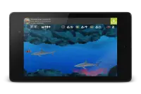 Wonder Fish नि: शुल्क खेलों HD Screen Shot 13