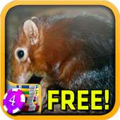 Shrew Slots - Free