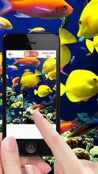 Рыба игры головоломки Screen Shot 0