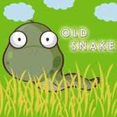 Old Snake