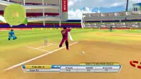 T20 Cricket Last Over Screen Shot 4