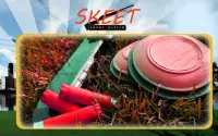 Skeet Shoot Master Screen Shot 2