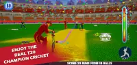 Real T20 Champion Cricket Screen Shot 1