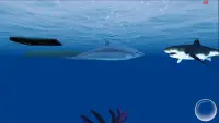 Dolphin permainan 3D Screen Shot 1