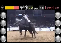 Bull Riding Challenge - Rodéo Taureau Défi Screen Shot 0