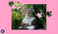 Cats - Jigsaw Puzzles Screen Shot 3