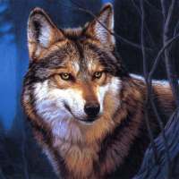 Wolf Jigsaw Puzzles