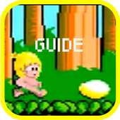 Guide for Wonder Boy