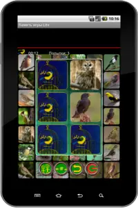 True Birds Memory Game Free Screen Shot 1
