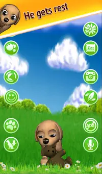 Catch Puppy Bizzy Free Kids Game Screen Shot 1