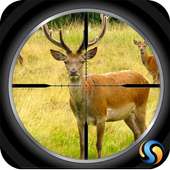 Sniper Caccia al cervo 3D