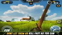 Archery: Animals Hunter Screen Shot 2