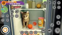 Cat Simulator: Virtual Pet Cat Screen Shot 1