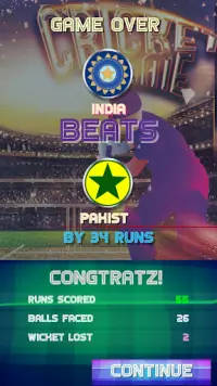 Fun Cricket 2019 Screen Shot 7