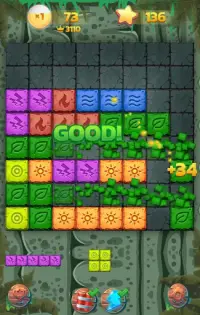 BlockWild - Klasik Block Puzzle Beyin için Oyun Screen Shot 3