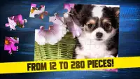 Welpen-Hunde-Puzzlespiele Screen Shot 2