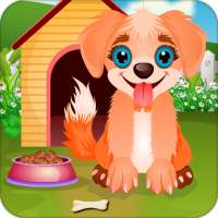 Puppy Pet Care And Feed
