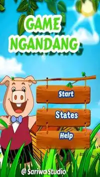 Game Ngandang Screen Shot 0