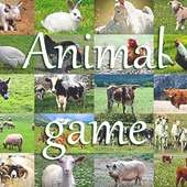 Animal Game IT Free