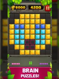 Block Puzzle Guardian Screen Shot 8